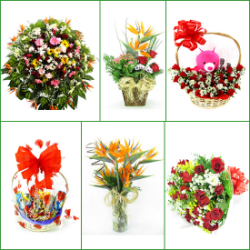FLORICULTURAS Pará de Minas, cestas de café da manhã e coroa de flores